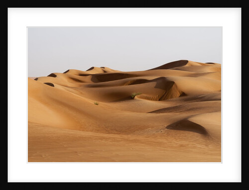 Desert sand dunes by Anonymous