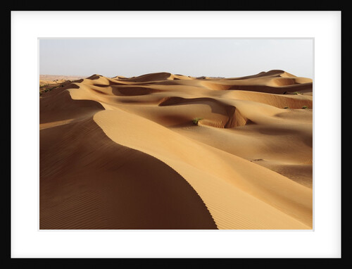 Desert sand dunes by Anonymous