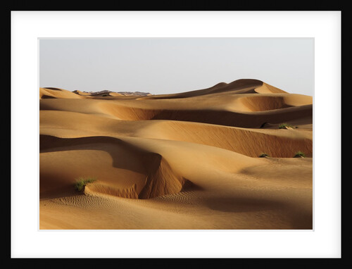Desert sand dunes by Anonymous
