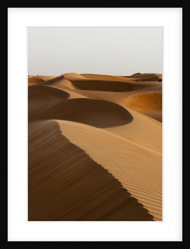 Desert sand dunes by Anonymous