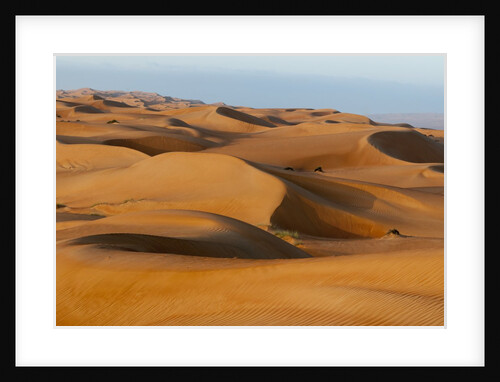 Desert sand dunes by Anonymous