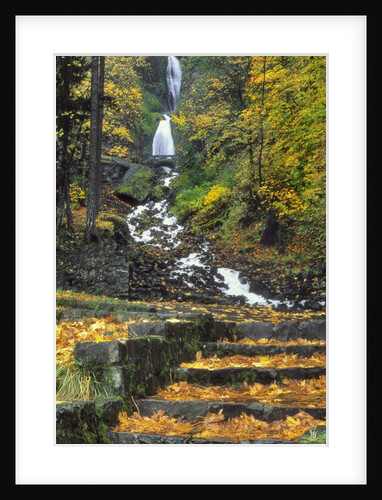 Wahkeena Falls by Anonymous