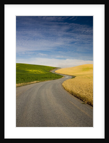 Winding Back Country Road through Winter and Spring Wheat Fields by Anonymous