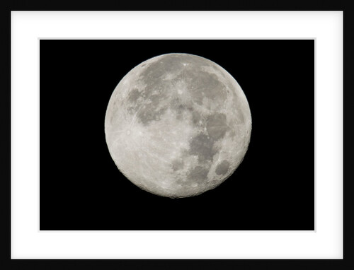 Yellowstone Late Summer Full Moon by Anonymous