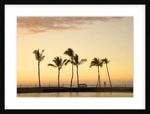 Row of palm trees along breakwater at sunset by Anonymous