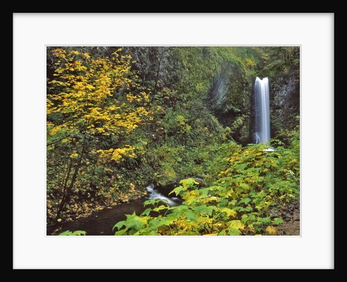 Upper Multnomah Falls by Anonymous
