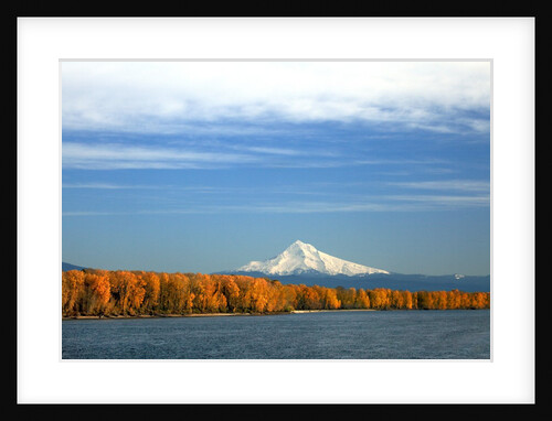 Mt. Hood and Columbia River by Anonymous