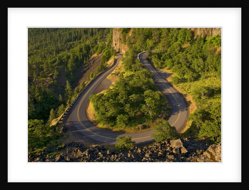 Rowena Loop Road by Anonymous