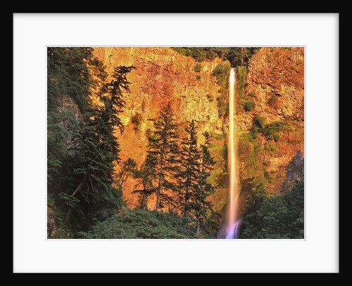 Evening light on Multnomah Falls by Anonymous
