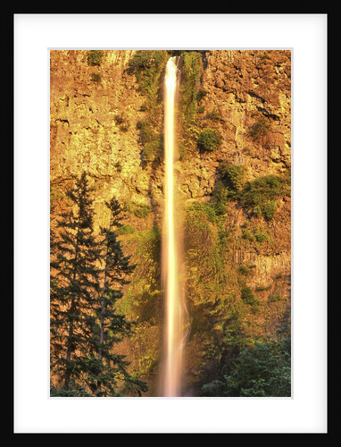 Evening light on Multnomah Falls by Anonymous