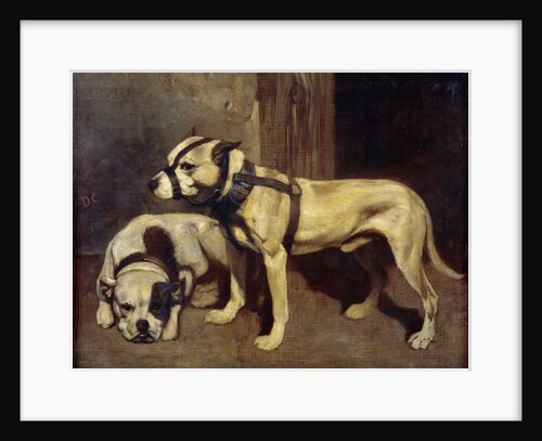 Bulldog and Scottish terrier by Alexandre Gabriel Decamps