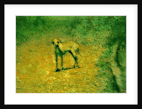 Dog by Anonymous