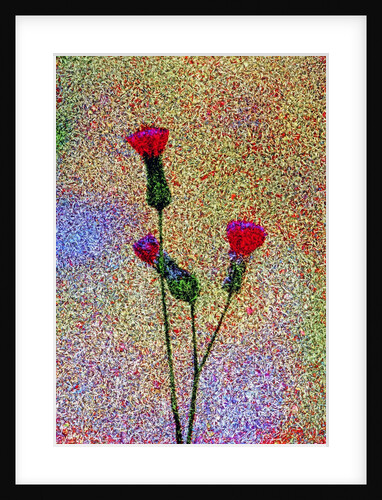 Little Flowers by Anonymous