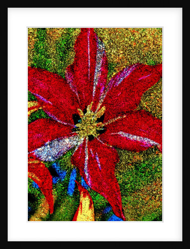 Red Flower by Anonymous