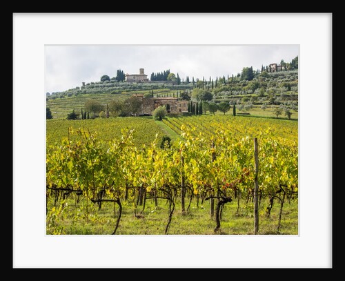Autumn Vineyards with Bright Color with Villa at on hill by Anonymous
