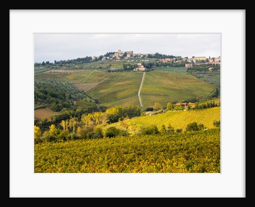 Autumn Vineyards with Bright Color Near Panzano by Anonymous