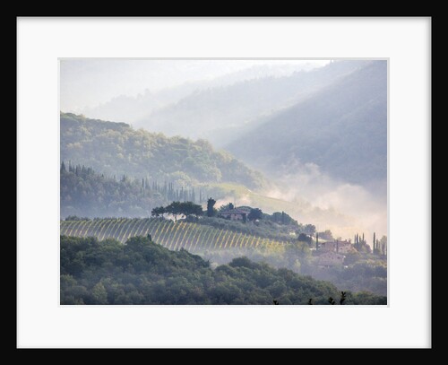 View from above of Tuscan villa and vineyard on a foggy morning by Anonymous