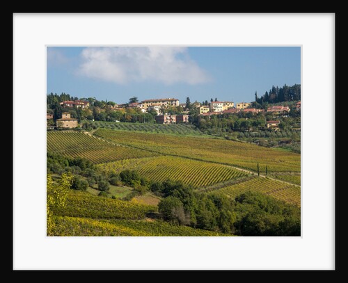 Autumn Vineyards with Bright Color Near Panzano by Anonymous