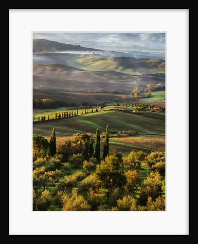 Morning light over the fields of Winter Wheat above the Tuscan Landscape by Anonymous