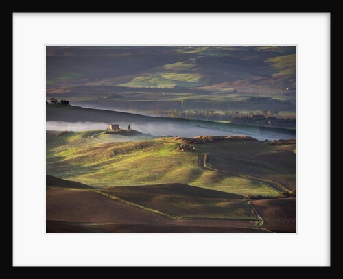 Morning light over the fields of Winter Wheat above the Tuscan Landscape by Anonymous