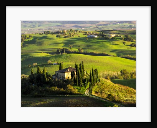 Evening Light at the Belvedere House surrounded by Winter Wheat in Southern Tuscany by Anonymous