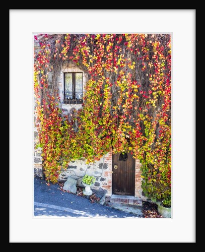 Autumn foliage around Tuscan Villa by Anonymous