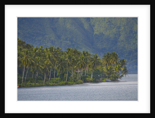 Coconut palm trees lining the second largest lake in Sumatra by Anonymous