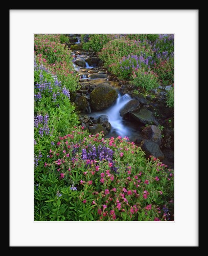 Elk Creek and wildflowers by Anonymous