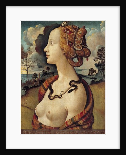 Portrait of a woman named Simonetta Vespucci - by Piero di Cosimo