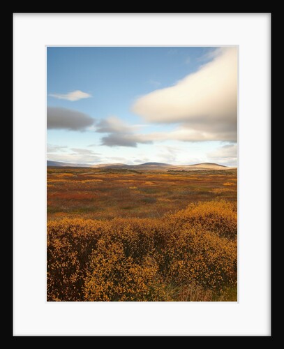 Valley of Fall color by Anonymous