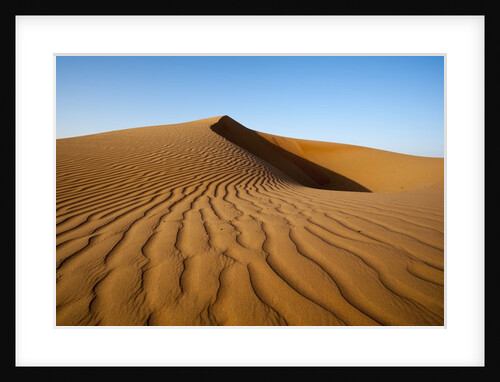 Sand dunes by Anonymous