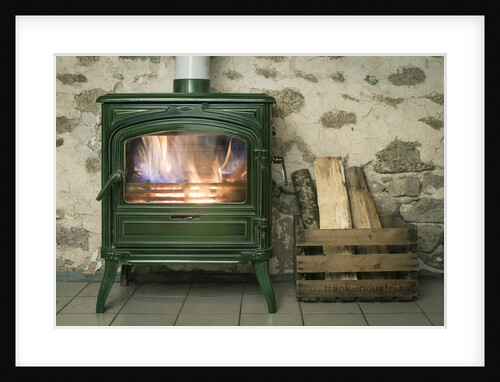 A fire in a green wood buring stove by Anonymous