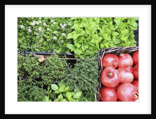 Campo de' Fiori everyday market. by Anonymous