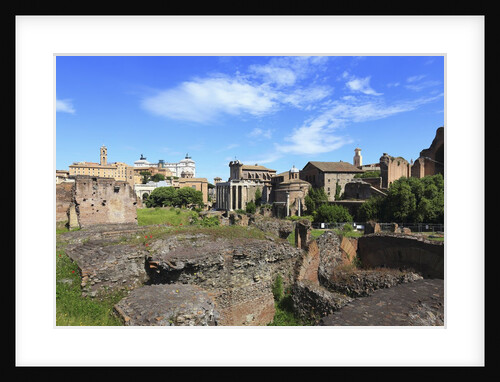The roman forum. by Anonymous