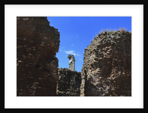 The roman forum. by Anonymous