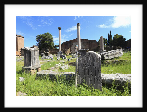 The roman forum. by Anonymous