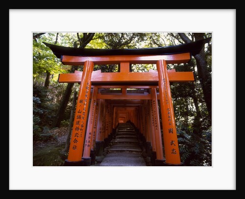 Torii, Fushimi Inari-taisha Shrine , Kyoto, Japan by Anonymous