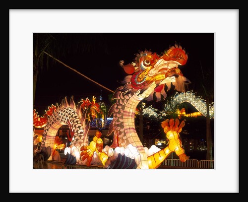 Illuminated Chinese Dragon on New Year's Eve, Hong Kong, China by Anonymous