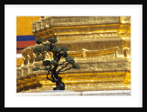 Detail of Wat Phra Kaeo, Bangkok, Thailand by Anonymous