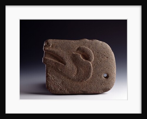zoomorphic sculpted stone ax representing the head of a deer by Anonymous