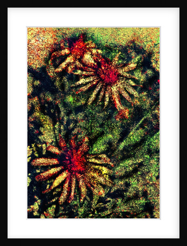 Yellow Flowers by Anonymous