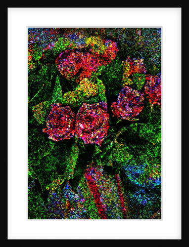 Flowers by Anonymous