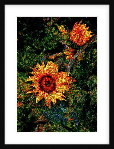 Sunflowers by Anonymous