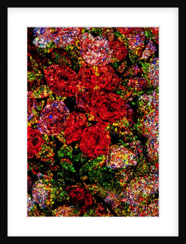 Red Flowers by Anonymous