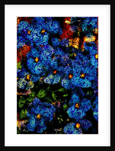 Flowers by Anonymous