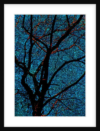 Tree by Anonymous