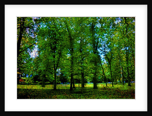 Green by Anonymous