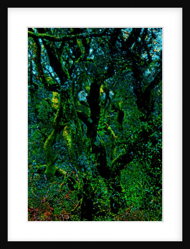 Green by Anonymous