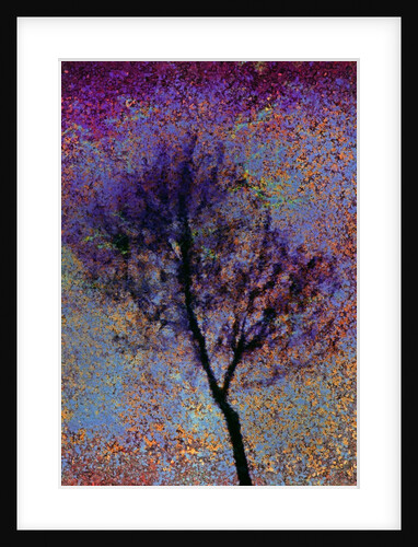 Tree by Anonymous