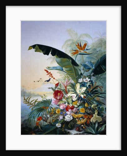 Exotic flowers by Jean Benner